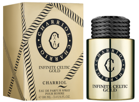 Парфюмированная вода мужская Charriol Infinite Celtic Gold, 100 мл